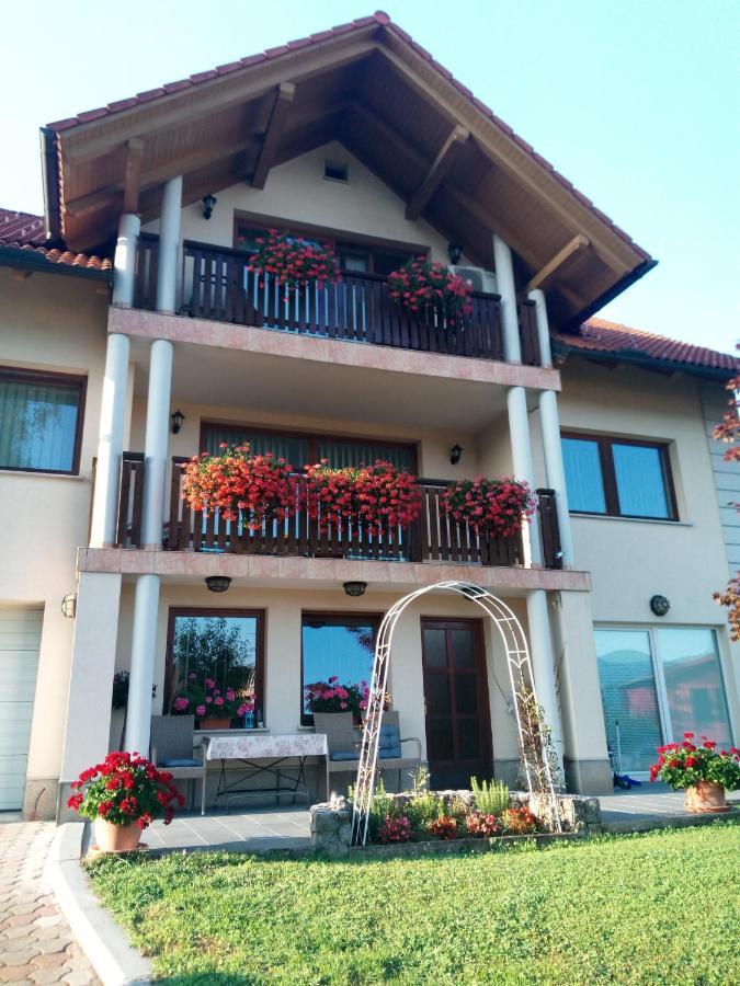 Zuzemberk Dolenjska Vila מראה חיצוני תמונה